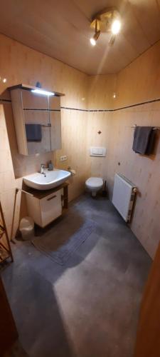 a bathroom with a sink and a toilet at Appartement Margreiter in Niederau