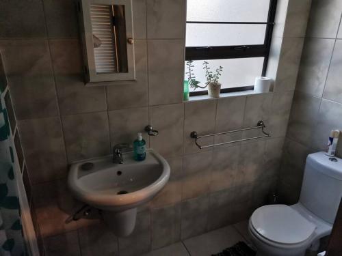 Desert Pearl Self catering & Accommodation في والفيز باي: حمام مع حوض ومرحاض ونافذة
