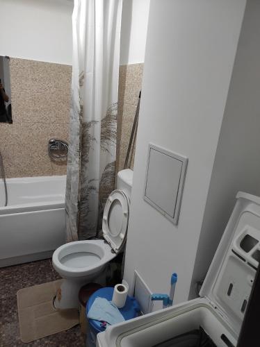 a small bathroom with a toilet and a shower at Apartament 2 camere tip studio in Râmnicu Vâlcea