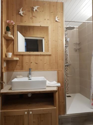 a bathroom with a sink and a shower at bel appartement , son jardin et le lac in Chamonix-Mont-Blanc