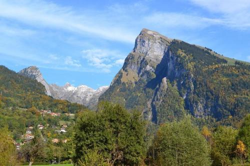 a mountain in the middle of a valley with trees at Samoëns 1600 studio au pied des pistes in Samoëns