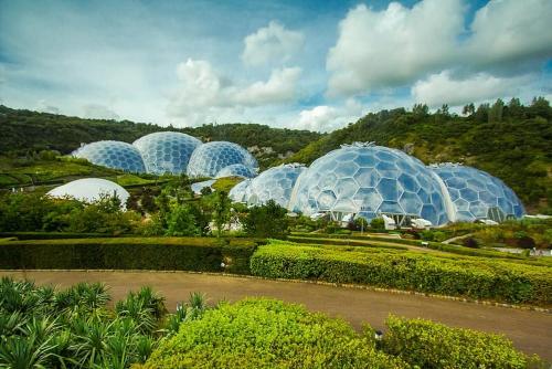 a group of glass domes in a garden at Hillside in St Austell