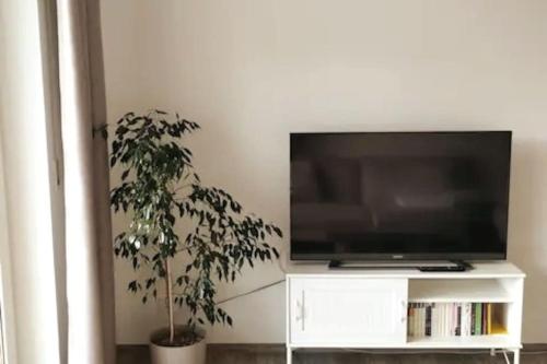 a flat screen tv on a white stand with a plant at Ferienwohnung zur dicken Berta in Wolfegg