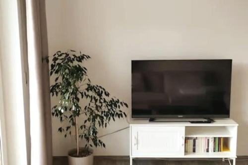 TV a/nebo společenská místnost v ubytování Ferienwohnung zur dicken Berta