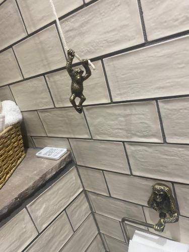 a toy monkey hanging from a rope in a bathroom at Cornerstone House in Pickering