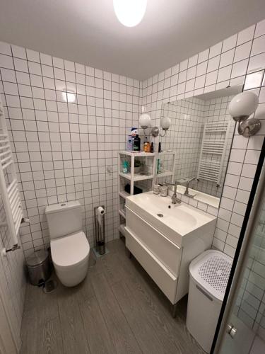 Apartamento Los Chopos في سانتاندير: حمام ابيض مع مرحاض ومغسلة
