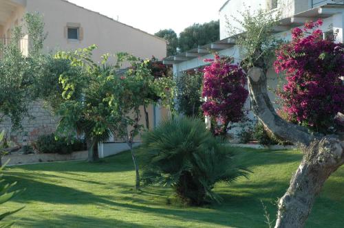 Alimede – Photos 2
