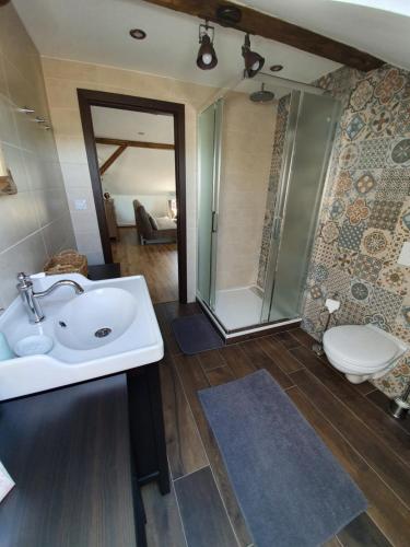 ein Bad mit einem Waschbecken und einem WC in der Unterkunft Apartmány Silvestr in Dolní Rychnov