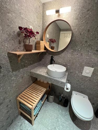 a bathroom with a sink and a mirror and a toilet at Koselig leilighet på Bystranden in Kristiansand