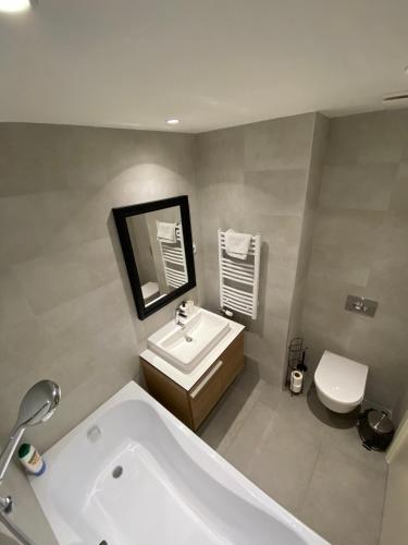 a bathroom with a tub and a sink and a toilet at Verde 18 in Sajmište