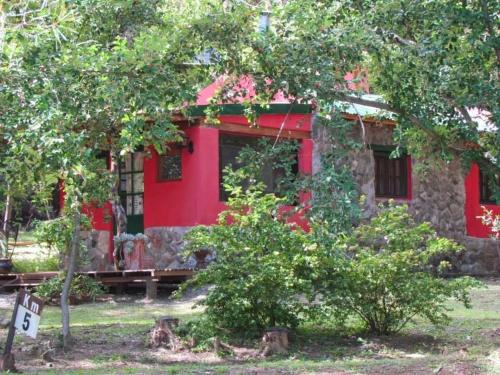a red house with a tree in front of it at Cabañas spa el petrel in San Javier