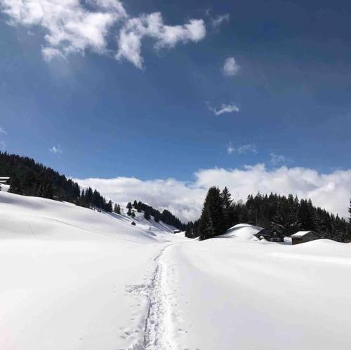 Beautiful Swiss chalet with breathtaking views and a sauna v zimě