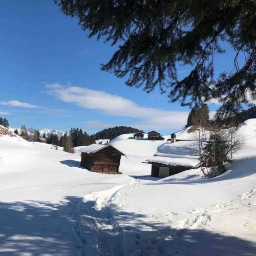 Beautiful Swiss chalet with breathtaking views and a sauna v zimě