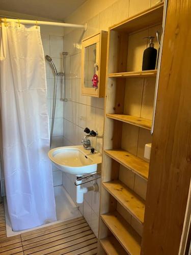 Beautiful Swiss chalet with breathtaking views and a sauna photo 3