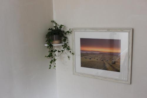 a picture hanging on a wall with a plant at La Charentaise des Lilas in Saint-Léger