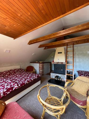 a bedroom with a bunk bed and a ladder at Best of Ilidza and Rakovica holiday HOME in Sarajevo