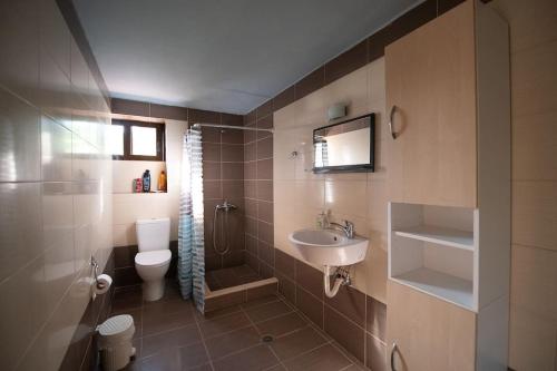 a bathroom with a sink and a toilet at Traditional stone house in Neokhórion