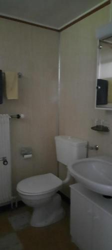 uma casa de banho com um WC branco e um lavatório. em Ferienwohnung Florida em Stein