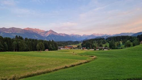 a green field with mountains in the background at Platzhirsch Ofterschwang in Ofterschwang