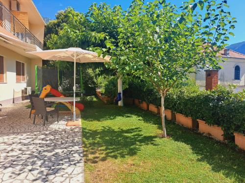a garden with a table and an umbrella and a tree at Apartmani F&M in Kotor