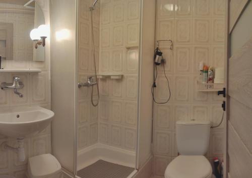 a bathroom with a shower and a toilet and a sink at Apartament SARA in Kołobrzeg