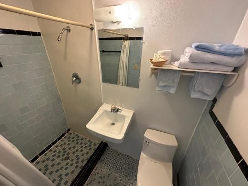 a small bathroom with a toilet and a sink at Four Oaks Lodging in Smithfield