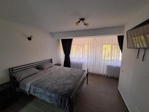 a bedroom with a bed and a window with curtains at Pensiunea Theo Enelid in Afumaţi