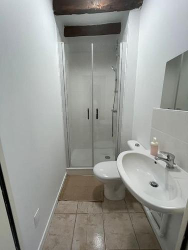 een badkamer met een toilet, een wastafel en een douche bij Charmante maison à la campagne in Sainte-Fauste