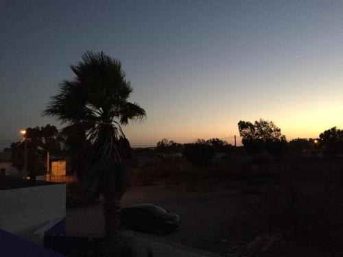 a palm tree sitting in front of a sunset at Nour Mogador in Ghazoua