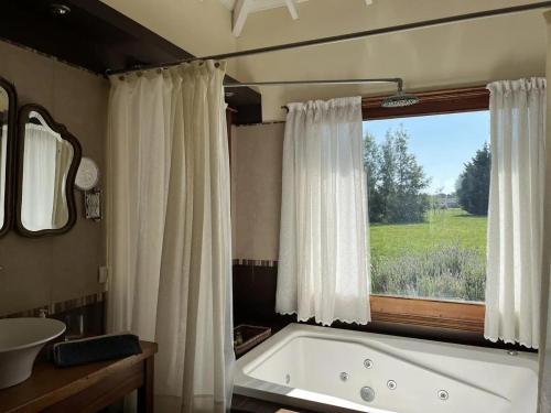 a bathroom with a bath tub and a window at Casa de campo en club privado Benquerencia in San Miguel del Monte