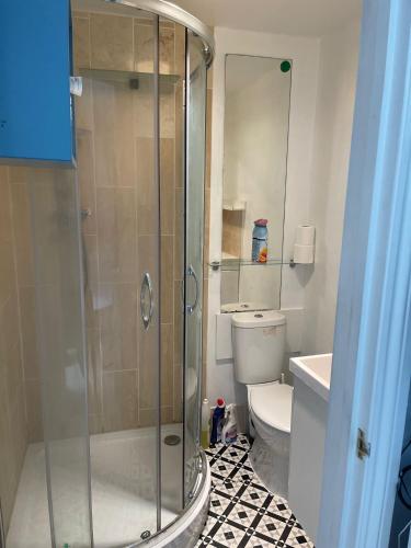 a bathroom with a shower and a toilet at 2nd floor Enfield town studio flat in Enfield