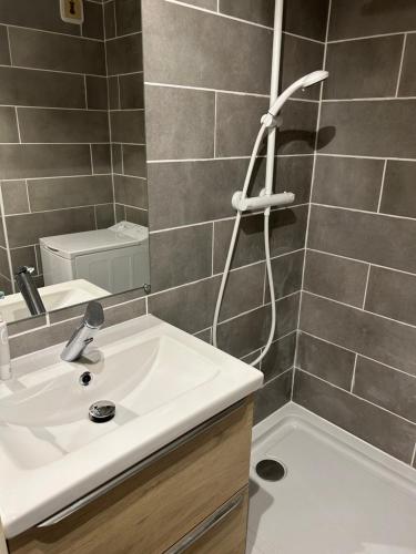 une salle de bain avec un lavabo et une douche dans l'établissement APPARTEMENT PALAVAS LES FLOTS AVEC JARDIN et PISCINE, à Palavas-les-Flots