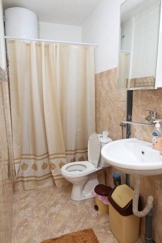 a bathroom with a shower curtain and a toilet and a sink at Gramosli Apartment in Bitola