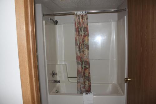 a shower with a shower curtain in a bathroom at Lake Erie Lodge in Lakemont Landing