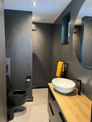 een badkamer met een wastafel en een toilet bij It Skoft in Siegerswoude
