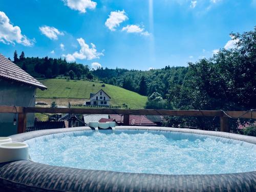 a large plunge pool with a view of a house at Casa Fratila in Holbav