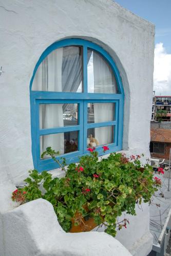 a blue window in a white building with a potted plant at Hotel Casa Blanca in Puerto Baquerizo Moreno