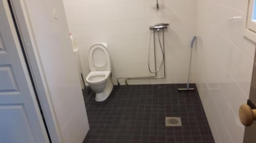 La petite salle de bains est pourvue d'une douche et de toilettes. dans l'établissement Asemansaunatupa, à Pyhäjärvi