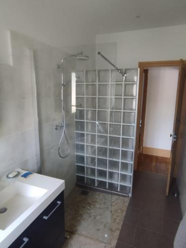 une salle de bain avec une douche et un lavabo et une douche dans l'établissement VILLA Douce Loue, à Ornans
