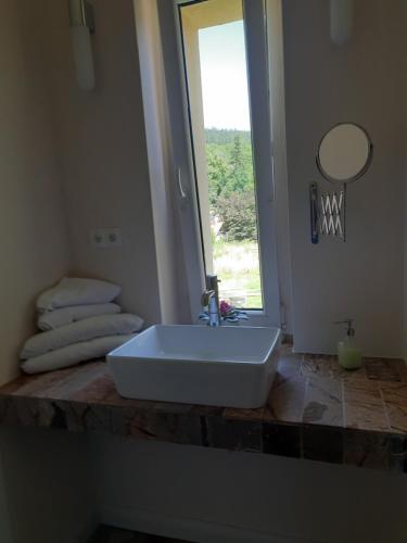 Perełka في Pieszyce: بالوعة بيضاء في الحمام مع نافذة