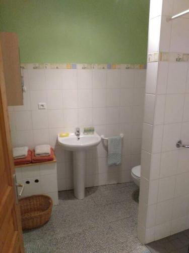 une salle de bain avec un lavabo et des toilettes dans l'établissement Studio 45m2, à la campagne, à 15 mns du Puy en Velay, à Lantriac