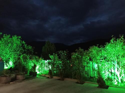a garden lit up at night with green lights at Green Garden in Ijevan