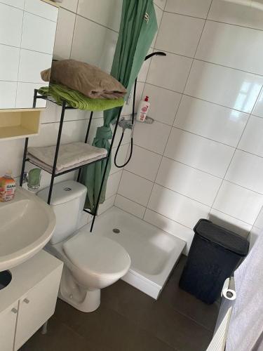 ein kleines Bad mit WC und Waschbecken in der Unterkunft Studio vue Lac in Montreux
