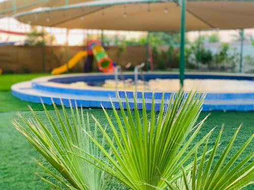 Al Rahba的住宿－Luxury Farm 2 with Swimming Pool，游泳池前的绿色植物