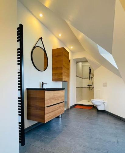 une salle de bain avec un lavabo, des toilettes et un miroir dans l'établissement maison secteur Mont St Michel, à Reffuveille