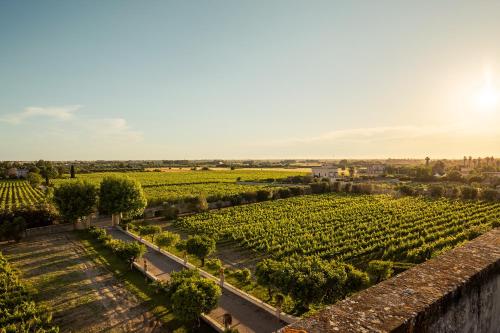 Tenuta Giardini Nuovi – Photos 3