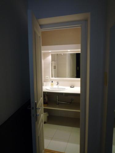 une salle de bain avec un lavabo et un miroir dans l'établissement Appartement Avignon centre intra muros Cour extérieure Parking privé gratuit, à Avignon