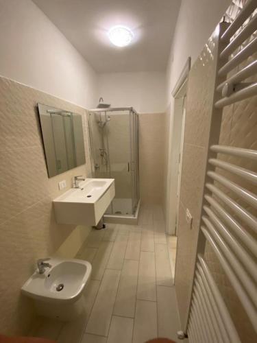 La salle de bains est pourvue d'un lavabo, de toilettes et d'une douche. dans l'établissement Vico gioiello 2, à San Martino in Pensilis
