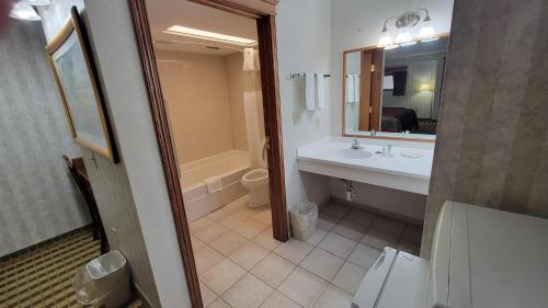 a bathroom with a sink and a toilet and a mirror at Ramada by Wyndham Saginaw Hotel & Suites in Saginaw