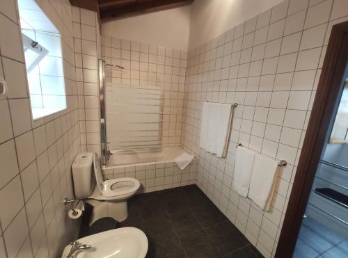 La salle de bains est pourvue de toilettes et d'un lavabo. dans l'établissement Casa das Hortênsias, à Horta